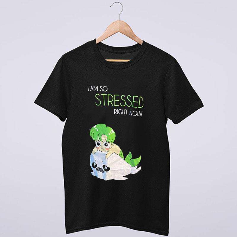 Funny I'm So Stressed Right Now Shirt